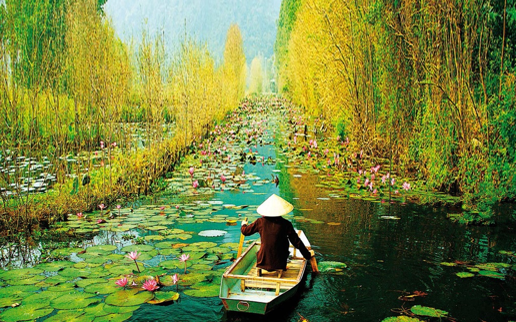 VIETNAM  7 DAYS 8 NIGHTS(Ex.Ho-Chi-Minh)