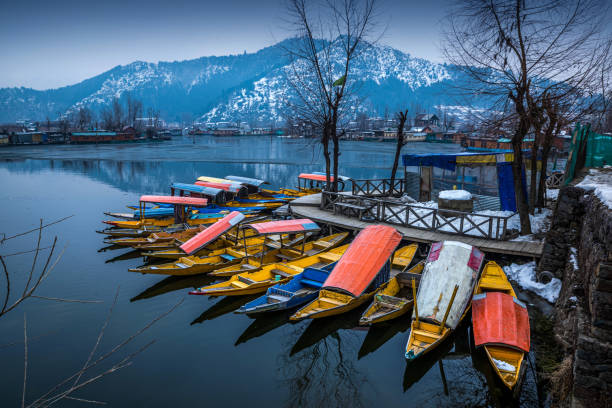 ​Sp. Kashmir​